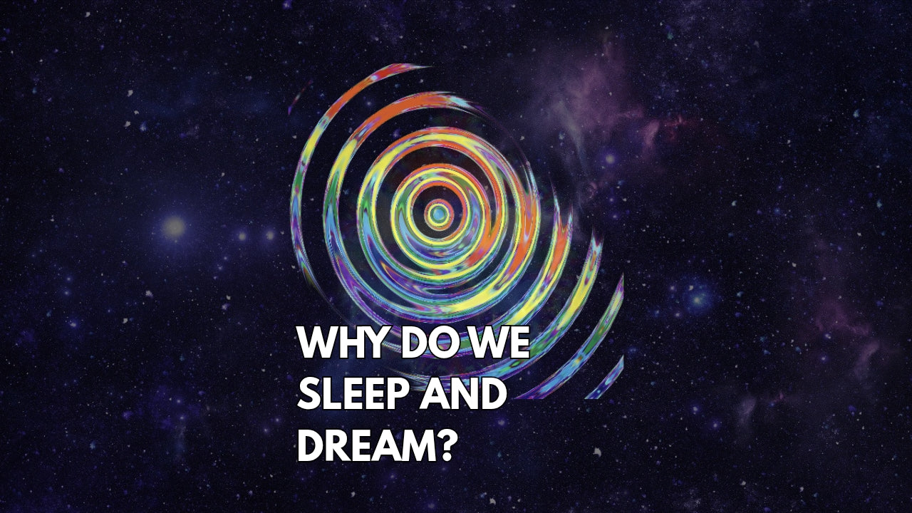 Patreon Exclusive: Why do we sleep and dream?